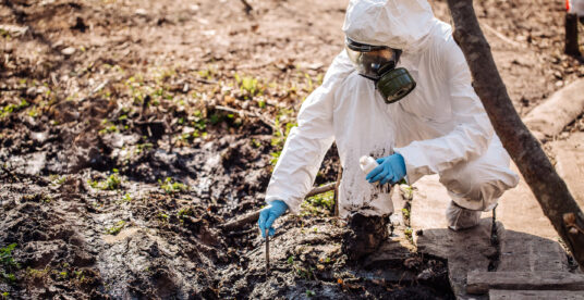 ecogestin_bonificasiti_contaminati (1)