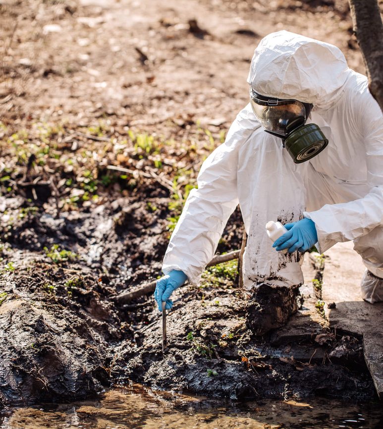 ecogestin_bonificasiti_contaminati